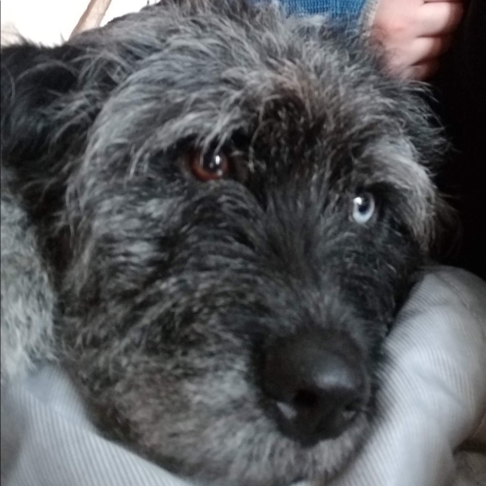 Meet your Posher, Kera